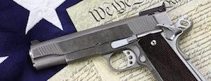 Gun and Constitution