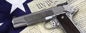 Gun and Constitution